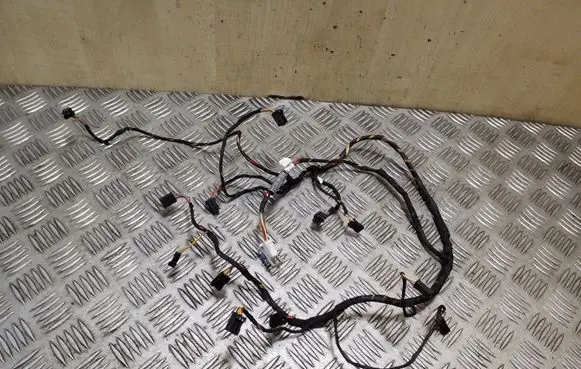 BMW X3 F25 Other wiring loom T1012691H 9234938