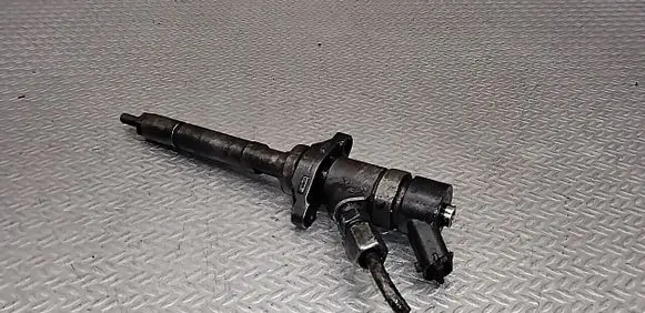 Citroen C4 I Fuel injector 0445110188