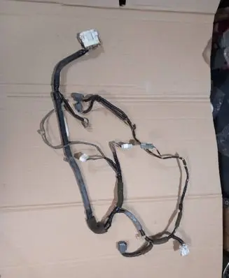 Front door wiring loom