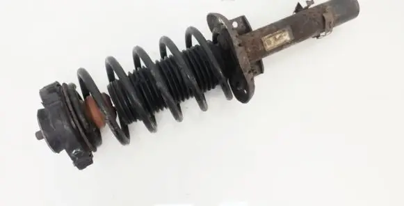 Skoda Roomster (5J) Front shock absorber with coil spring 6Q0412141C
