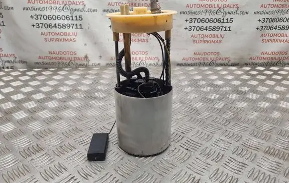 Volkswagen Touran I In-tank fuel pump 1T0919050B A2C53166117
