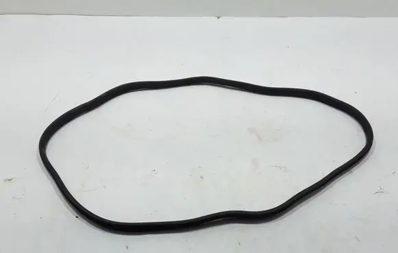Rear door rubber seal (on body)