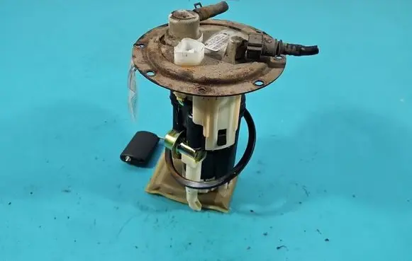 Hyundai Getz In-tank fuel pump 311101C000 IMPRK1542211