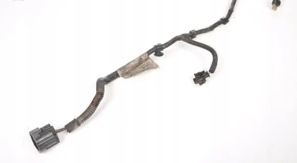 Maserati Ghibli Other wiring loom 06700064650