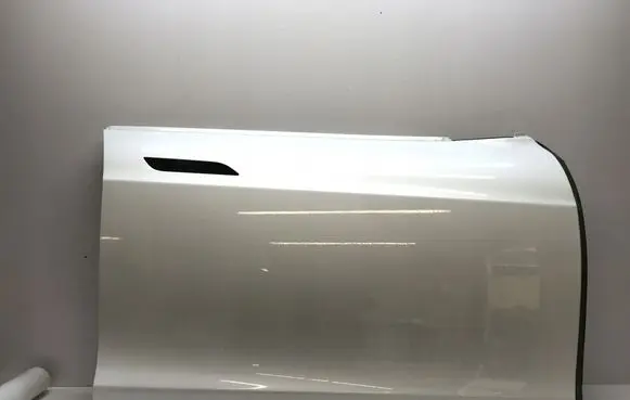Tesla Model S Front door 6006622