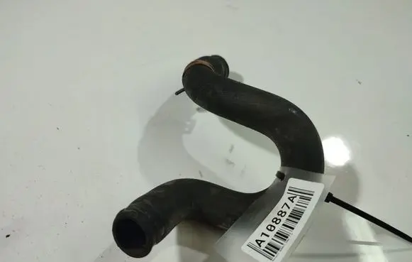 Renault Scenic I Engine coolant pipe/hose