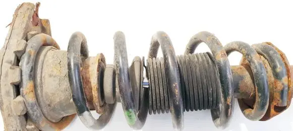 Nissan Primera Rear coil spring
