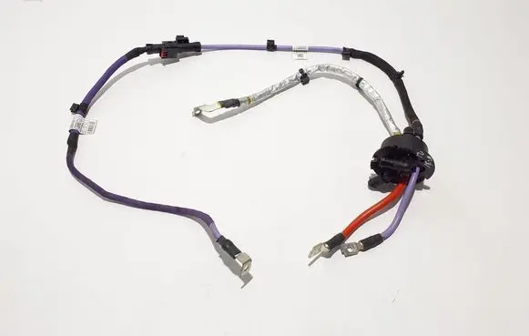 BMW 5 G30 G31 G38 Other wiring loom 5A28487