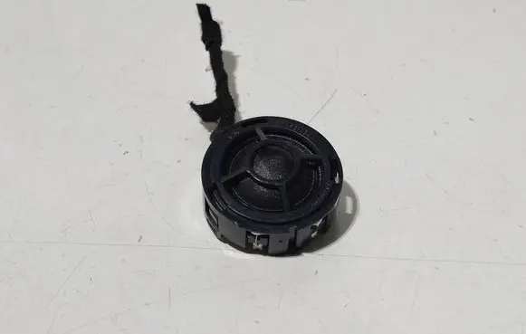Front door high frequency speaker