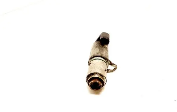 Volvo V50 Camshaft vanos timing valve 30731172