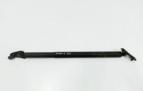 Smart #1 Tailgate strut 8891269041