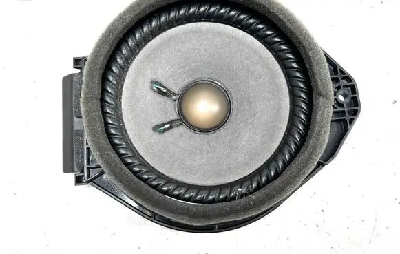 Chevrolet Volt I Front door speaker 3190700010 20760440 990440