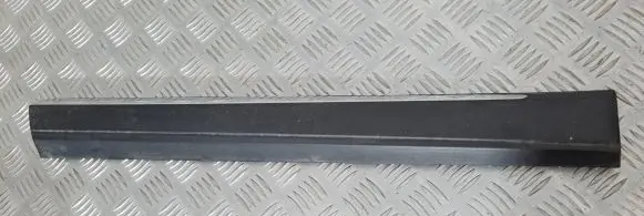 Nissan Murano Z51 Rear door trim (molding)