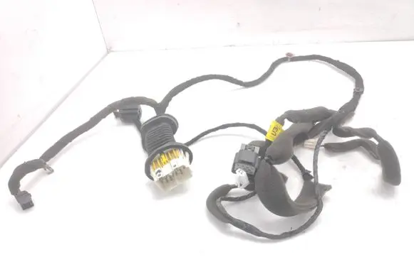 Opel Antara Front door wiring loom F0612475
