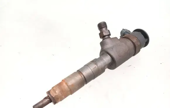 Peugeot Partner Fuel injector 0445110566
