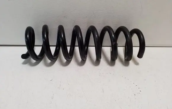 Rear coil spring