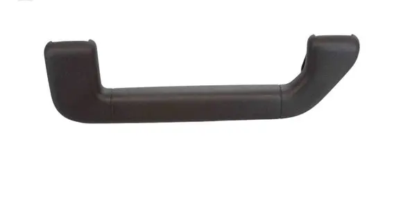 Front interior roof grab handle