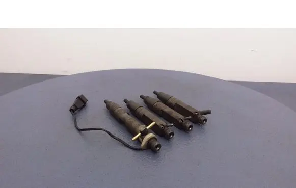 Volkswagen PASSAT B5 Fuel injector 028130202H