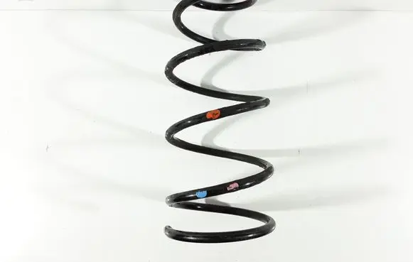 Rear coil spring