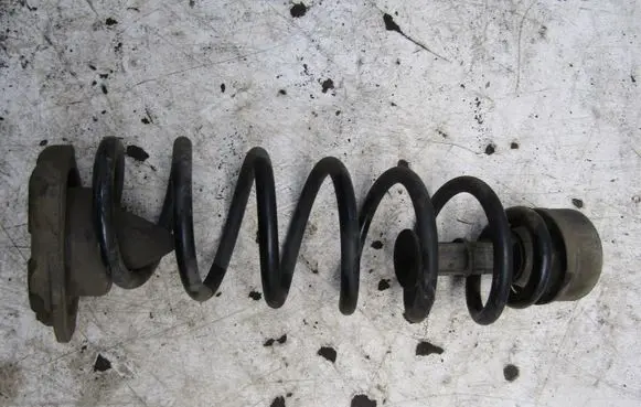 Nissan Qashqai Front coil spring KRIS235789