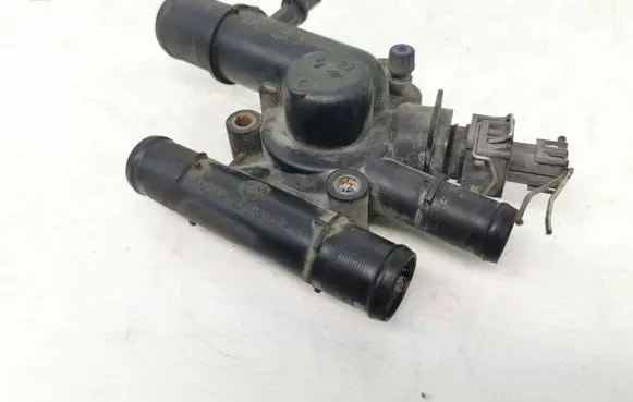 Thermostat/thermostat housing