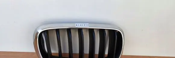 BMW X6 F16 Front bumper upper radiator grill 7316076