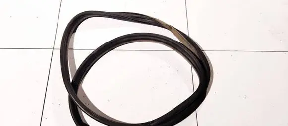 Renault Laguna II Rubber seal rear door 