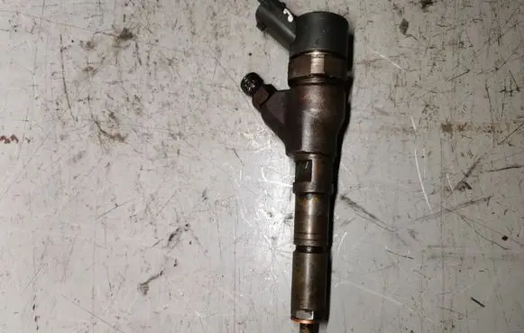 Citroen Jumpy Fuel injector 0445110062 9640088780