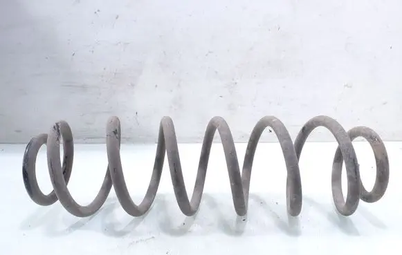 Rear coil spring