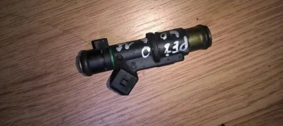 Peugeot 406 Fuel injector 01f005a 09311