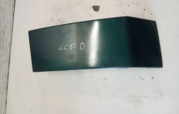 Rear/tail light trim molding