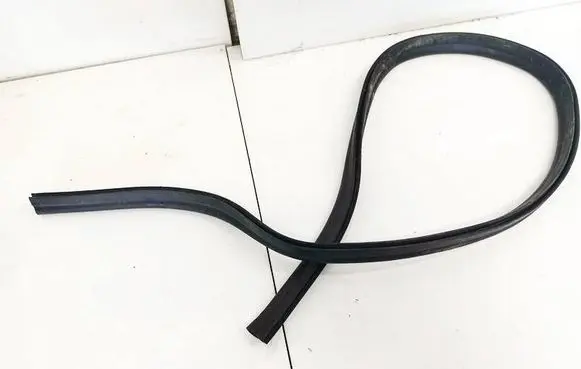 Seat Leon (5F) Rubber seal rear door 