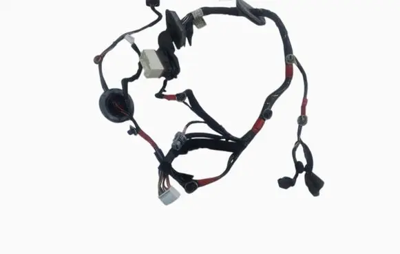 Hyundai Santa Fe Front door wiring loom 91600-2B200