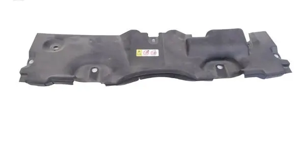 Toyota RAV 4 (XA50) Radiator trim 1668125020