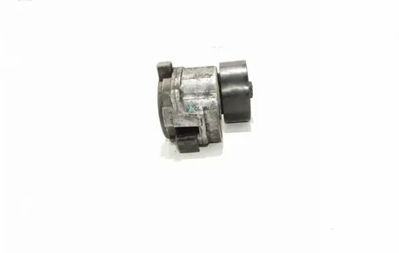 Peugeot Partner Alternator belt tensioner TF077G