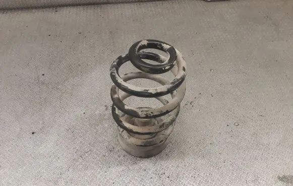 Rear coil spring
