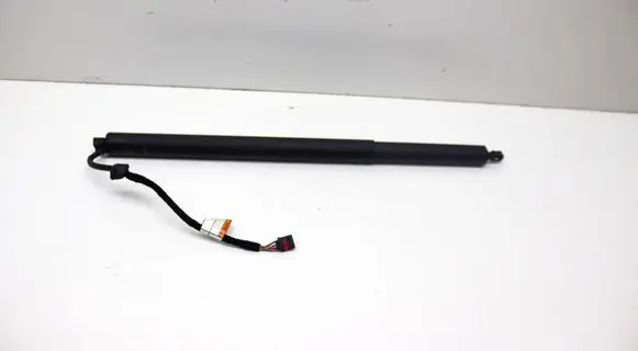 Tailgate/trunk strut/damper