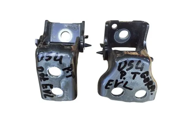 Citroen DS4 Rear door hinge set 