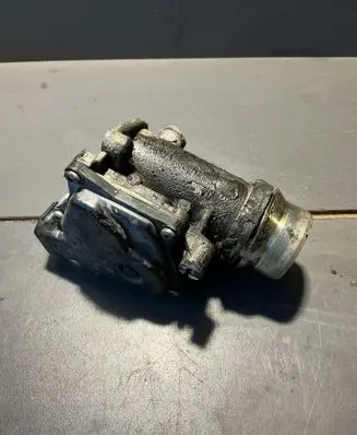 Dacia Logan II Throttle body valve 161a09287r