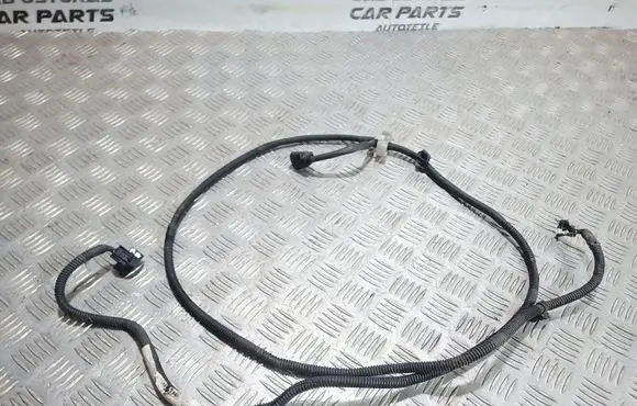 Other wiring loom