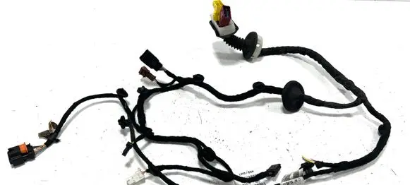 Front door wiring loom