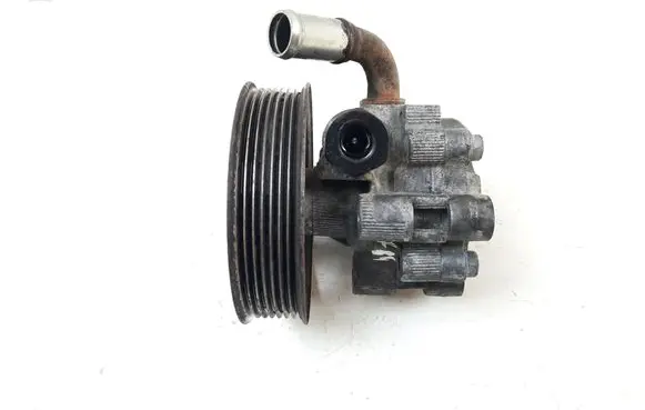 Chrysler 300 - 300C Power steering pump