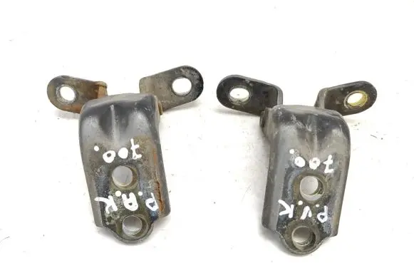 Hyundai Sonata Front door hinge set 