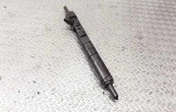 Renault Clio II Fuel injector 8200365186 8200049873