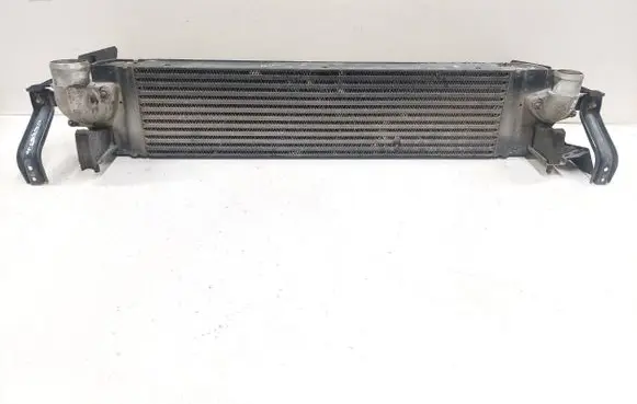 Renault Koleos I Intercooler radiator 14461JG70B P3578002