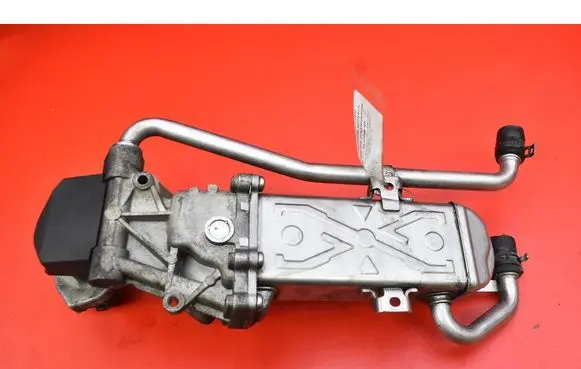 Skoda Fabia Mk2 (5J) EGR valve