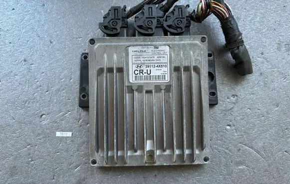 Hyundai Terracan Engine control unit/module 391124X510