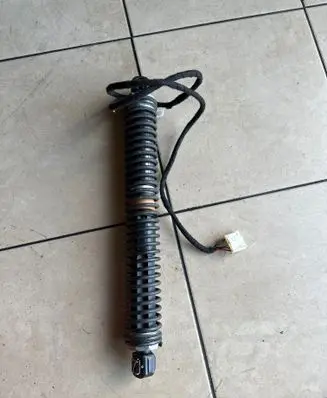 Tailgate strut
