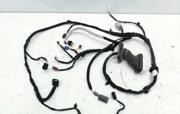 Front door wiring loom