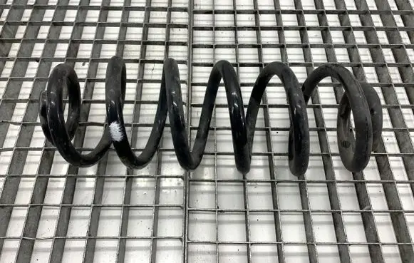 Rear coil spring